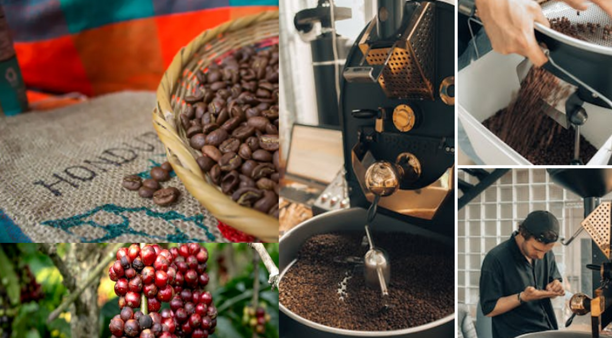 HONDURAS INTERCEPT Honduras Coffee