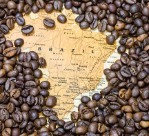 BRAZILIAN ASSET Brazil Coffee