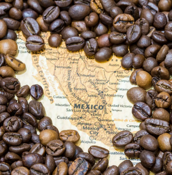 Medium Roast / Brown Sugar Mexico Chiapas Coffee
