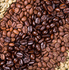 BLACK LIST Coffee Sample Pack